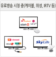 유료방송 시청 중(케이블, 위성, IPTV 등)
