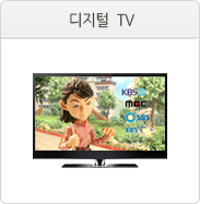 디지털 TV